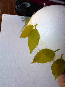 Place the leaves around the bottom edge.
